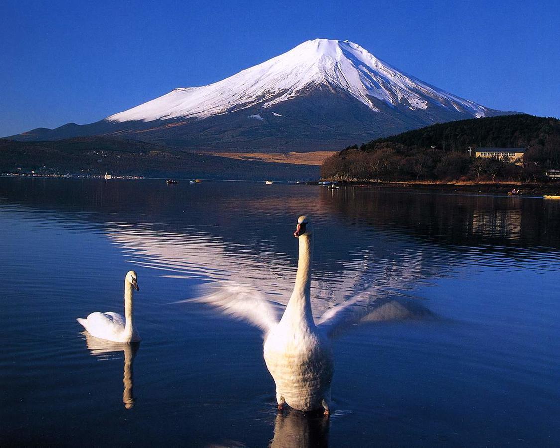 Resort Inn Golf Gotemba (Adults Only) Exterior foto